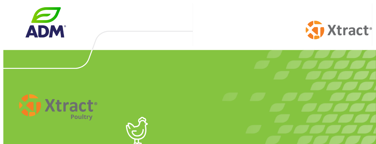 Xtract Poultry