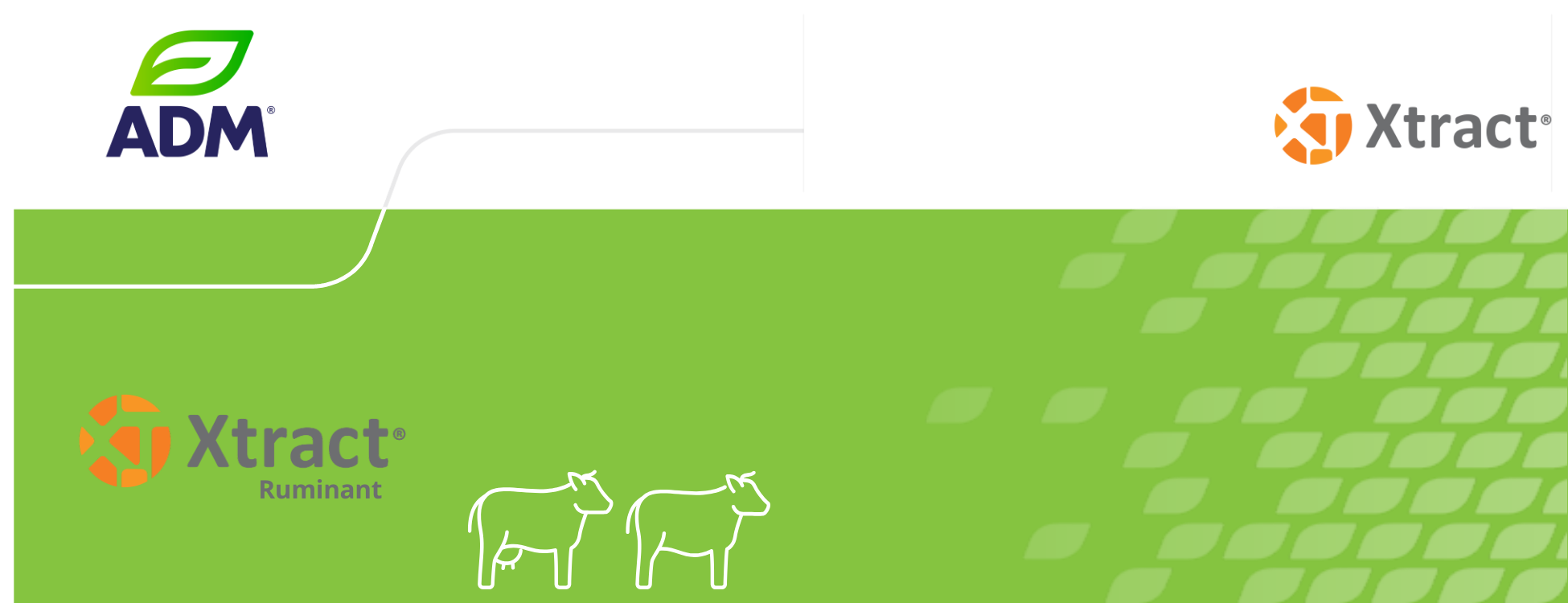 Xtract Ruminant