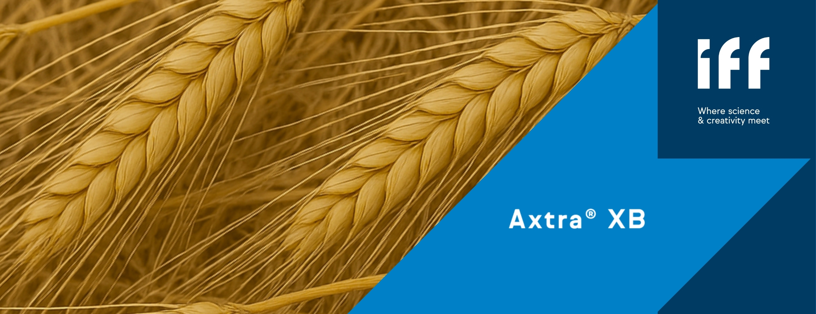 Axtra XB