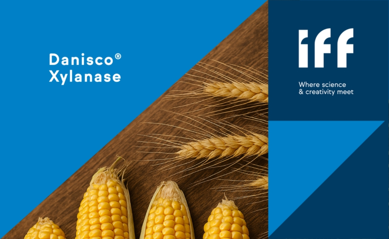 Danisco Xylanase
