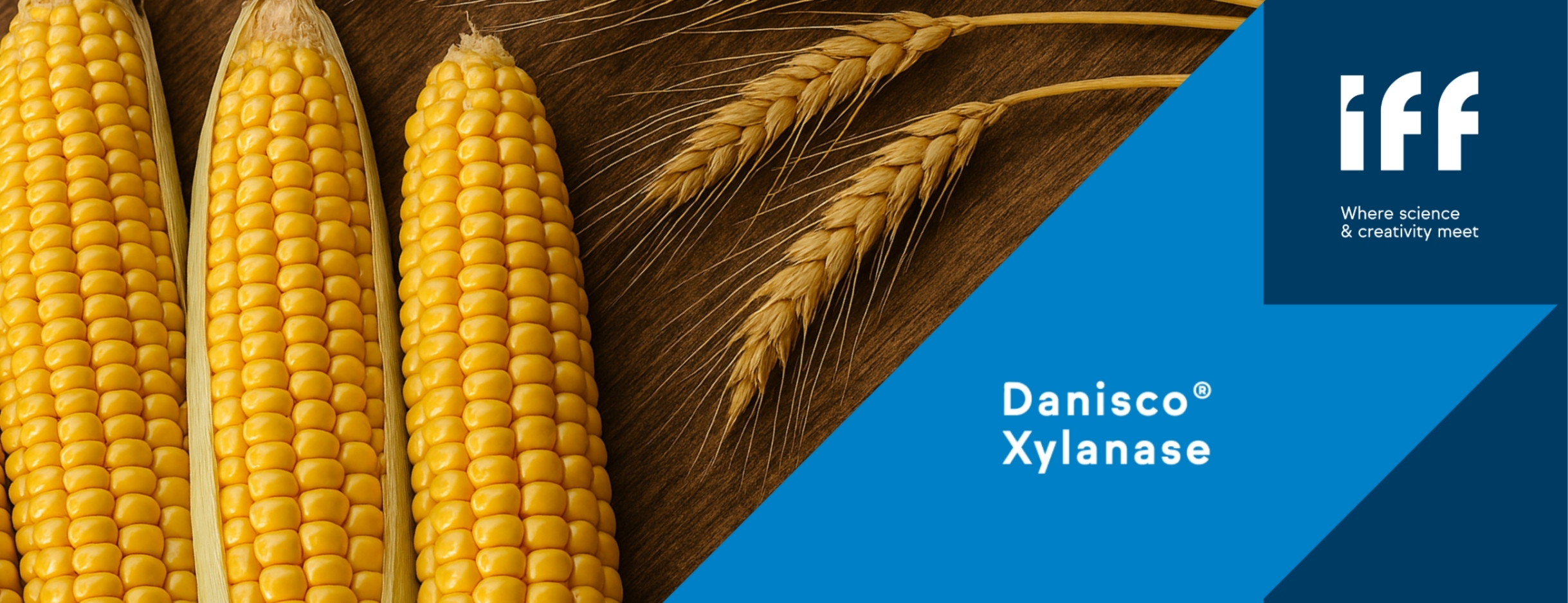Danisco Xylanase